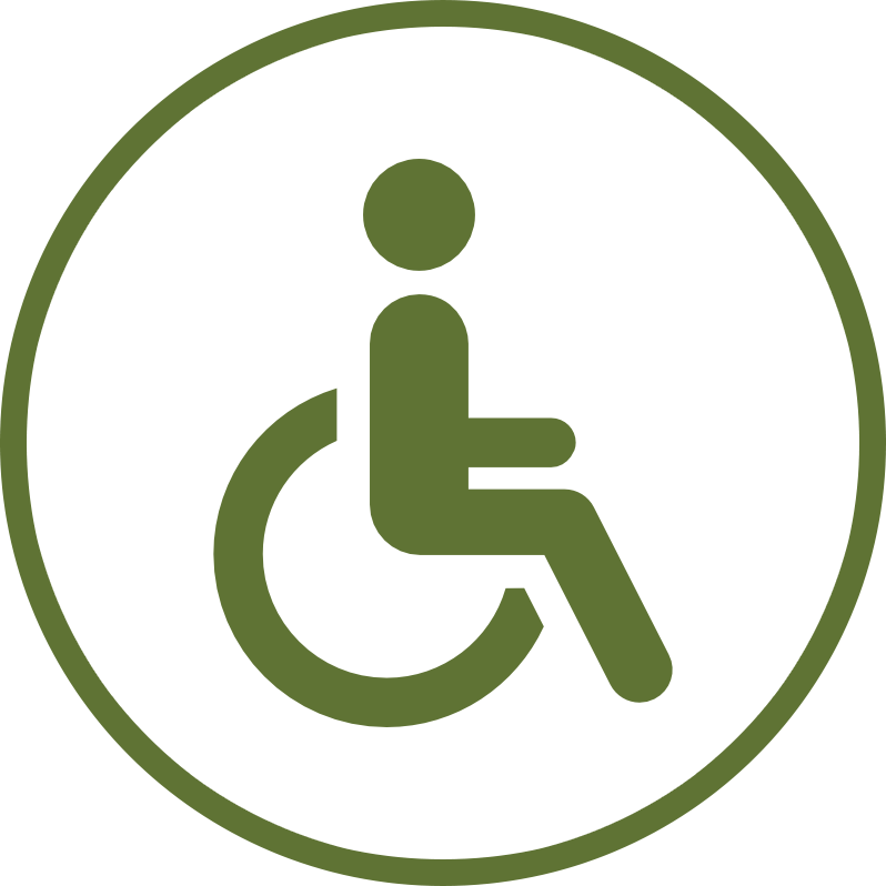 Pictogramme accessibilité handicap